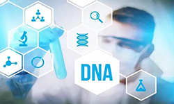 固原个人做DNA鉴定如何办理，固原亲子鉴定需要的材料